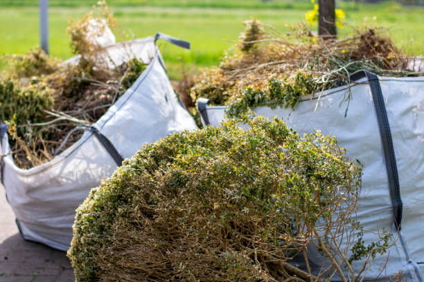 Best Retail Junk Removal  in Elkton, MD
